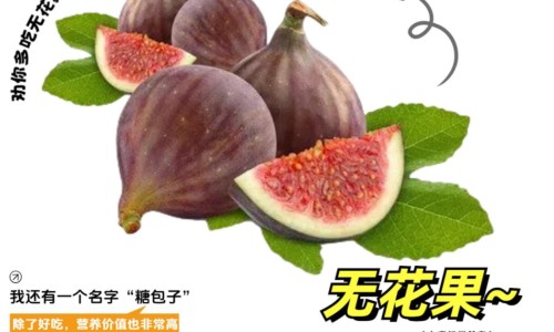 松茸的营养价值和功效与作用及禁忌-【松茸的营养价值与副作用】松茸的营养价值及功效与作用 - 松茸的营养价值和功效与作用网
