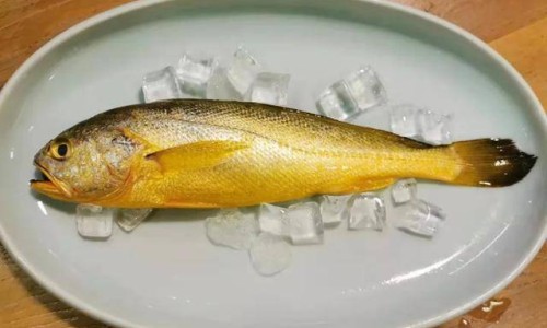 松茸的营养价值及功效与作用-【松茸的营养价值与副作用】松茸的营养价值及功效与作用 - 松茸的营养价值和功效与作用网