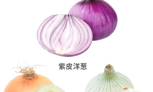 松茸的营养价值及功效与作用-【松茸的营养价值与副作用】松茸的营养价值及功效与作用 - 松茸的营养价值和功效与作用网