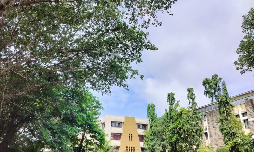 松茸的营养价值及功效与作用-【松茸的营养价值与副作用】松茸的营养价值及功效与作用 - 松茸的营养价值和功效与作用网